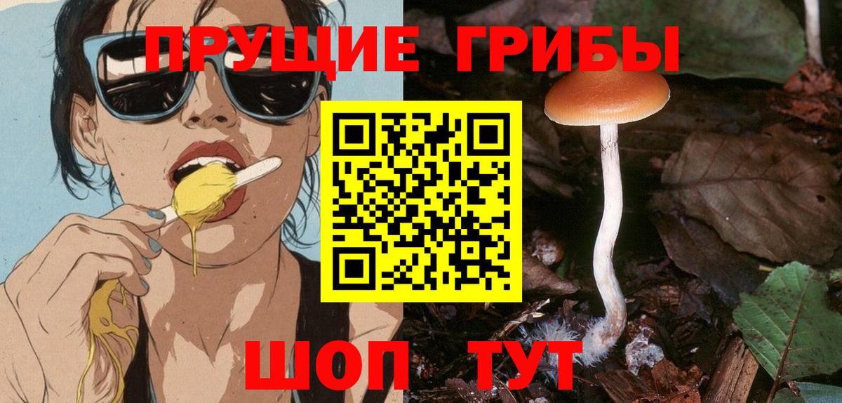Галлюциногенные грибы прущие грибы Иваново