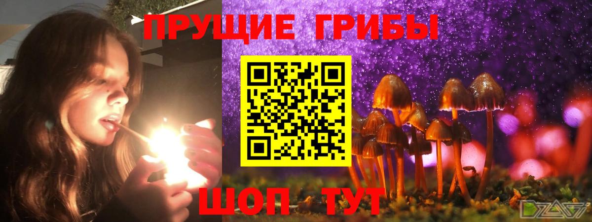 Псилоцибиновые грибы GOLDEN TEACHER  Псилоцибиновые грибы мухоморы  Иваново  Вход с VPN 